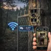 WiFi fotopasti
